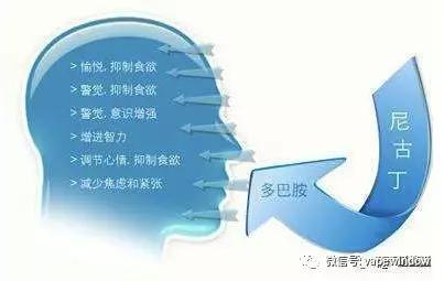 【爆料】｜抽烟一时爽，戒烟戒不掉？戒烟黑科技MOTI来了，21天戒烟，永不复吸！