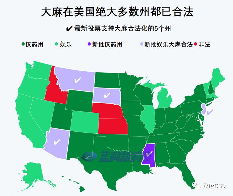 美国选举的大赢家: 不是拜登, 而是大麻