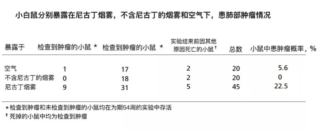 走近科学：为了电子烟行业，还需要几只小白鼠？