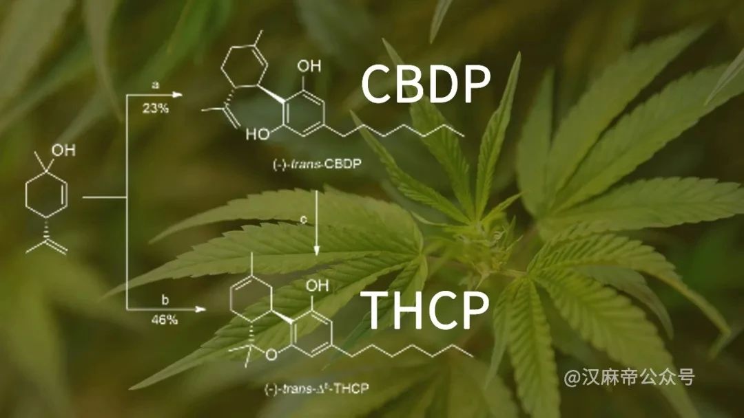 THC背了成瘾、致幻的锅？大麻素THCP新论点