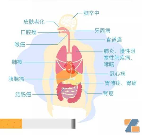 新“禁烟标识”已张贴，小虹送上重要提示