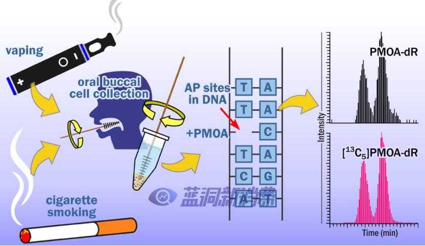 美国化学学会：电子烟主要成分丙二醇可抑制口腔细菌及炎症